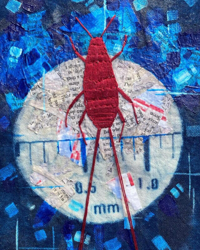 cochineal, 3/3 FOV triptych (2020)